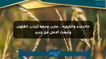 «الدفء والكرم».. مأرب وجهة تجذب القلوب وتبعث الأمل من جديد